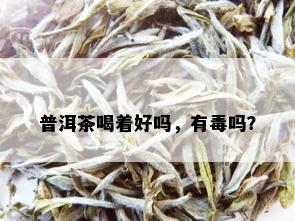 普洱茶喝着好吗，有吗？