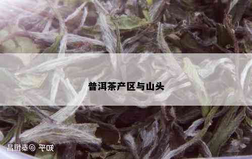 普洱茶产区与山头