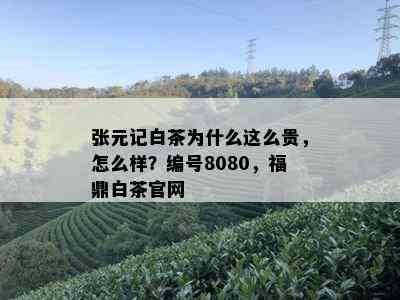 张元记白茶为什么这么贵，怎么样？编号8080，福鼎白茶官网