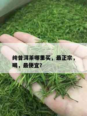 纯普洱茶哪里买，最正宗，喝，更便宜？