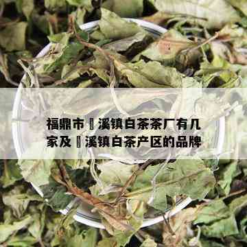 福鼎市磻溪镇白茶茶厂有几家及磻溪镇白茶产区的品牌