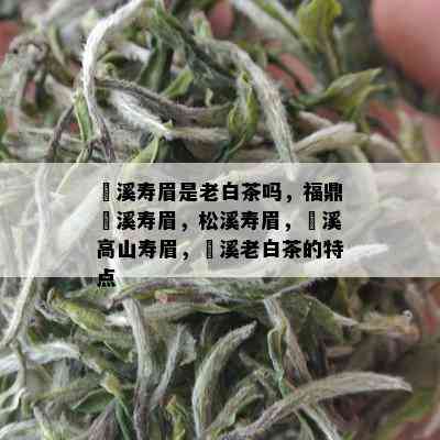 磻溪寿眉是老白茶吗，福鼎磻溪寿眉，松溪寿眉，磻溪高山寿眉，磻溪老白茶的特点