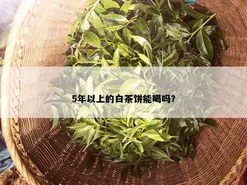 5年以上的白茶饼能喝吗？