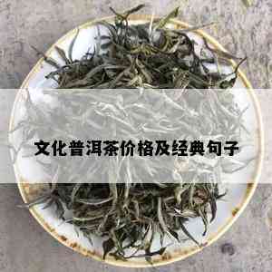 文化普洱茶价格及经典句子