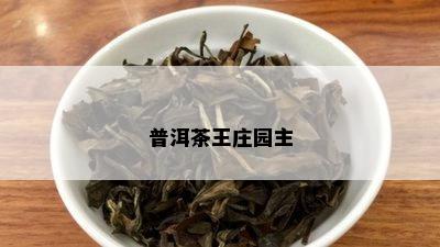 普洱茶王庄园主