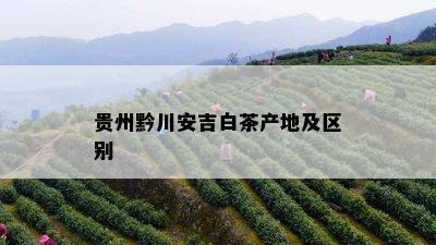 贵州黔川安吉白茶产地及区别