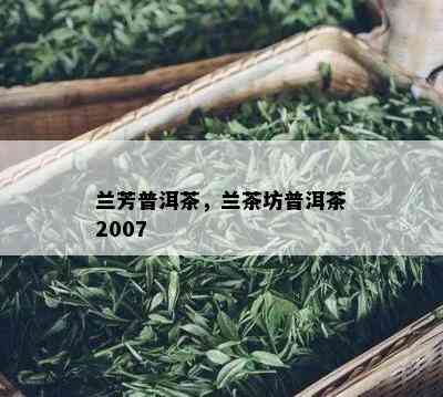 兰芳普洱茶，兰茶坊普洱茶2007