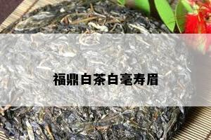 福鼎白茶白毫寿眉