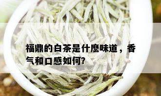 福鼎的白茶是什麽味道，香气和口感如何？