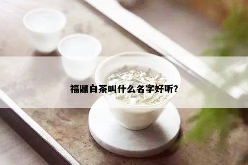 福鼎白茶叫什么名字好听？