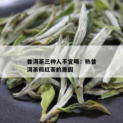 普洱茶三种人不宜喝：熟普洱茶和红茶的原因