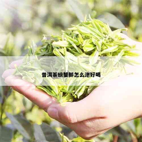 普洱茶螃蟹脚怎么泡好喝