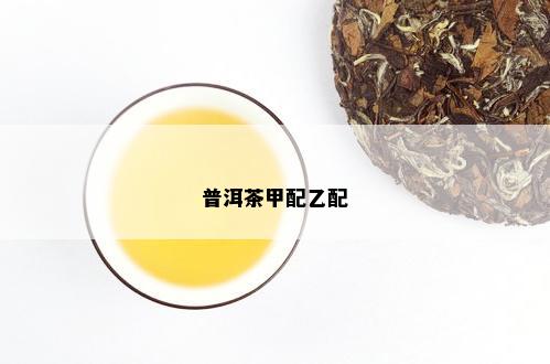 普洱茶甲配乙配