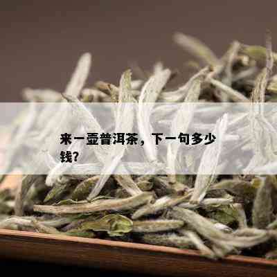 来一壶普洱茶，下一句多少钱？