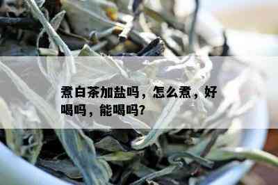 煮白茶加盐吗，怎么煮，好喝吗，能喝吗？