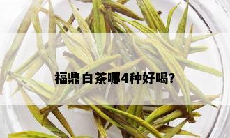 福鼎白茶哪4种好喝？