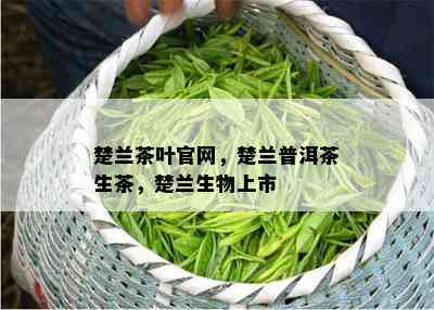 楚兰茶叶官网，楚兰普洱茶生茶，楚兰生物上市