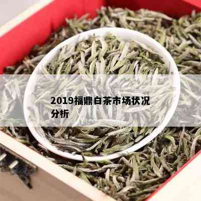 2019福鼎白茶市场状况分析