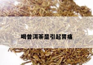 喝普洱茶是引起胃痛