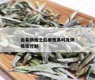 白茶烘焙之后寒性高吗及烘焙度控制