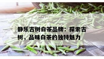 静乐古树白茶品牌：探索古树，品味白茶的独特魅力