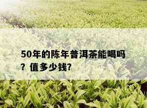 50年的陈年普洱茶能喝吗？值多少钱？