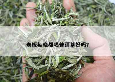 老板每晚都喝普洱茶好吗？