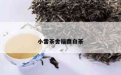 小雷茶舍福鼎白茶