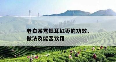 老白茶煮银耳红枣的功效、做法及能否饮用