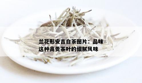 兰花形安吉白茶图片：品味这种高贵茶叶的细腻风味