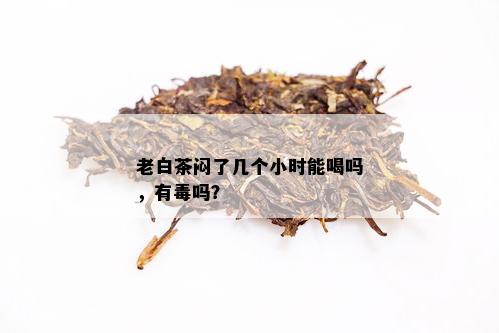 老白茶闷了几个小时能喝吗，有吗？