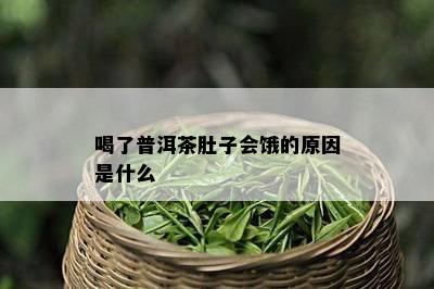 喝了普洱茶肚子会饿的原因是什么