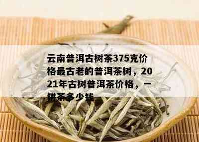 云南普洱古树茶375克价格最古老的普洱茶树，2021年古树普洱茶价格，一饼茶多少钱