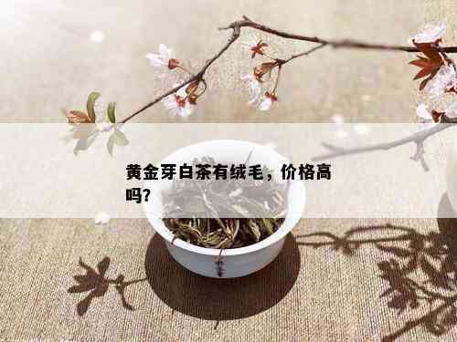 黄金芽白茶有绒毛，价格高吗？