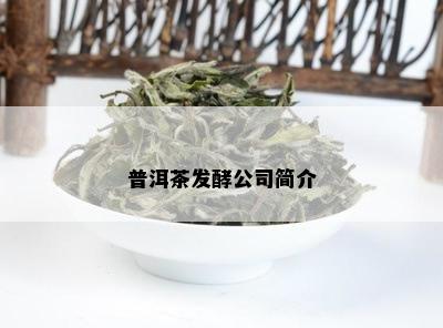 普洱茶发酵公司简介