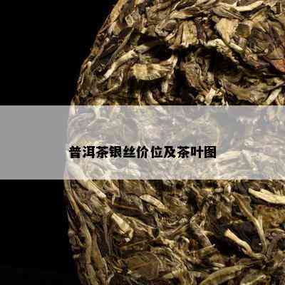 普洱茶银丝价位及茶叶图