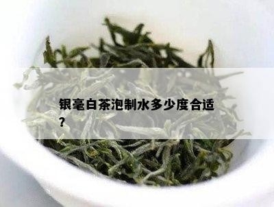 银毫白茶泡制水多少度合适？