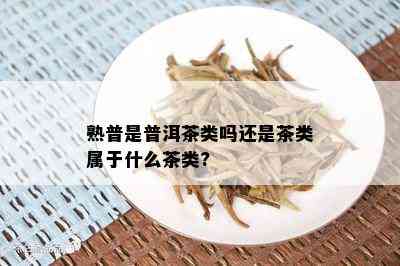 熟普是普洱茶类吗还是茶类属于什么茶类?