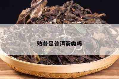 熟普是普洱茶类吗