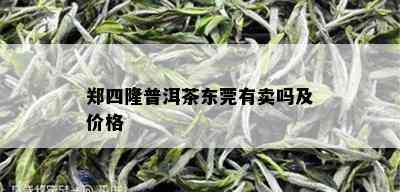 郑四隆普洱茶东莞有卖吗及价格