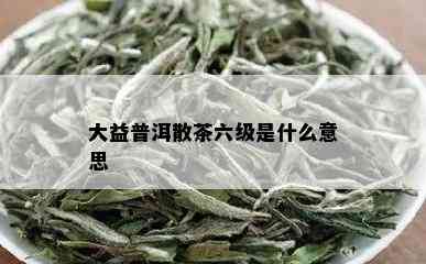 大益普洱散茶六级是什么意思