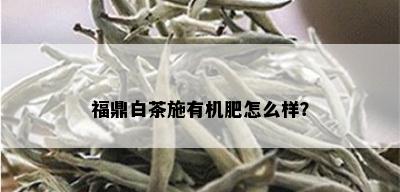 福鼎白茶施有机肥怎么样？