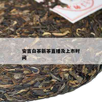 安吉白茶新茶直播及上市时间