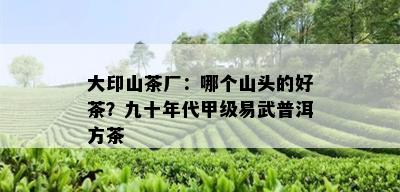 大印山茶厂：哪个山头的好茶？九十年代甲级易武普洱方茶