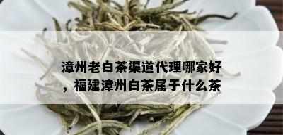 漳州老白茶渠道代理哪家好，福建漳州白茶属于什么茶