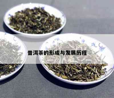 普洱茶的形成与发展历程