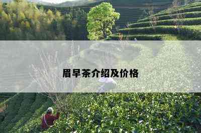 眉早茶介绍及价格