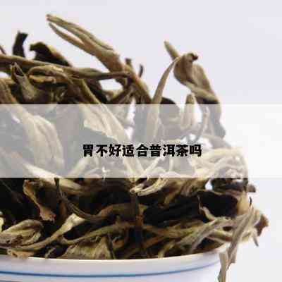 胃不好适合普洱茶吗