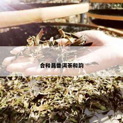 合和昌普洱茶和韵