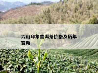 六山印象普洱茶价格及历年变动